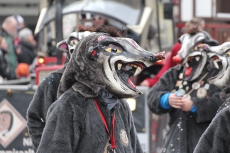 Bachratten Eimeldingen - R&uuml;mmingen _c034059.jpg