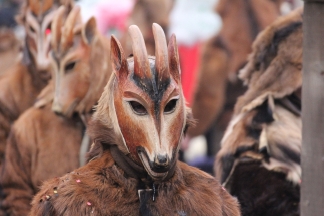 Chanderner Geisse - R&uuml;mmingen _c034275.jpg