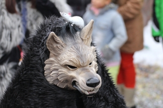 Chanderner Werw&ouml;lf - R&uuml;mmingen _c034070.jpg