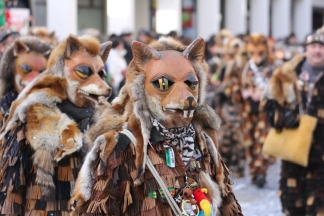 Enzb&auml;chle-F&uuml;chs Binzgen - L&ouml;rrach _c033502.jpg