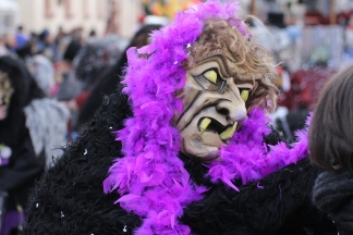 Fell-H&auml;xe Haltingen - Binzen _c032371.jpg