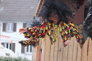 F&uuml;&uuml;rdeufel Wollbach - R&uuml;mmingen _c033934.jpg