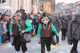 H&auml;gelberger D&uuml;chelstumbe - Binzen _c032533.jpg