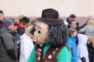 H&auml;gelberger D&uuml;chelstumbe - Binzen _c032539.jpg