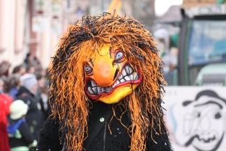 Haldeschlurbi H&ouml;llstein - Binzen _c032530.jpg