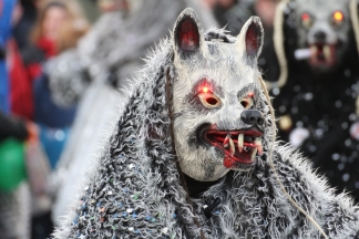 L&ouml;rracher Schneew&ouml;lf - L&ouml;rrach _c033554.jpg