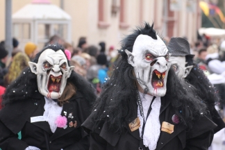 Nachtschw&auml;nzler Wintersweiler - Binzen _c032823.jpg