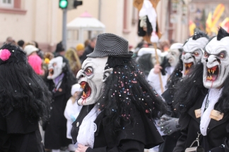 Nachtschw&auml;nzler Wintersweiler - Binzen _c032827.jpg