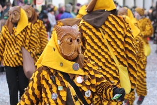 Rotlaubk&auml;utzle Eschenbach - L&ouml;rrach _c033641.jpg