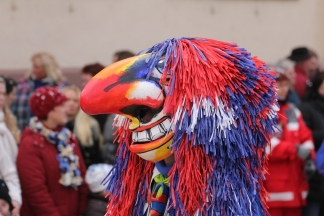 R&uuml;ebe Waggis L&ouml;rrach - Binzen _c033186.jpg