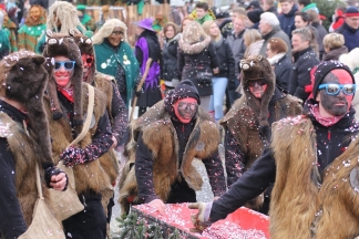 R&uuml;mminger Wilds&auml;u - R&uuml;mmingen _c033946.jpg