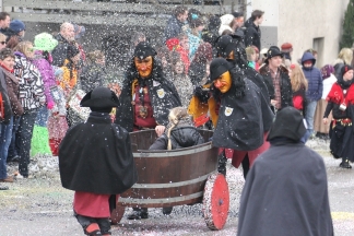 Schl&ouml;ssliw&auml;chter - R&uuml;mmingen _c033960.jpg