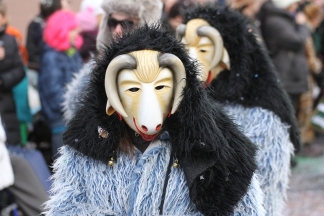 Schofseggel H&uuml;singen - Binzen _c032552.jpg