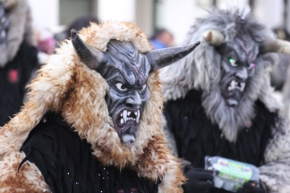 Schwarzwald-D&auml;monen Teningen-Nimburg - L&ouml;rrach _c033619.jpg