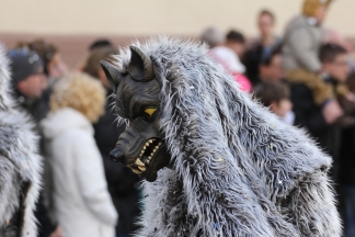 Stolle W&ouml;lf Sch&ouml;nau - Binzen _c032591.jpg