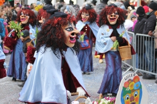 Wiler R&auml;tschgosche - L&ouml;rrach _c033327.jpg