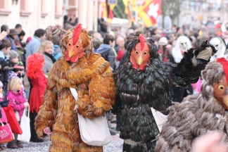 Zweidotter-H&uuml;hner Adelsberg - Binzen _c032481.jpg