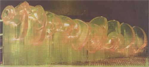 wpeB.jpg (11251 Byte)